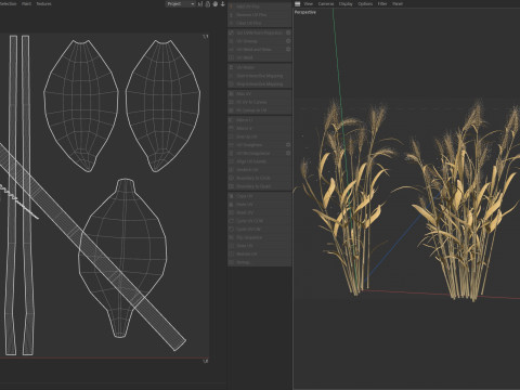 Wheat dried bushes 3Dモデル