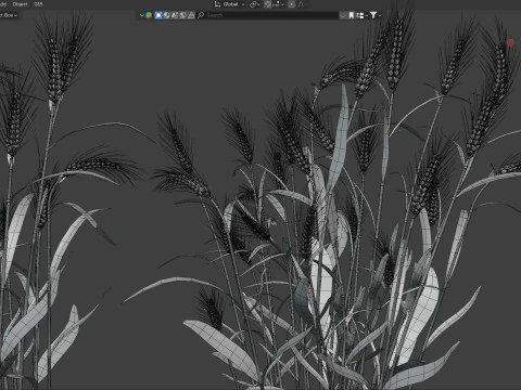Сушені кущі пшениці 3D Модель