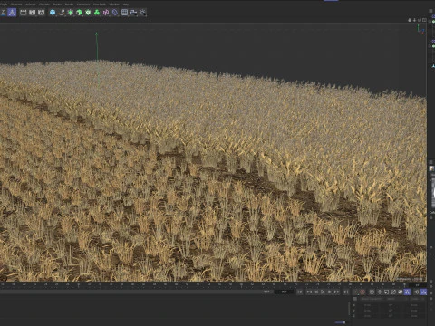 Wheat dried field 3D Model