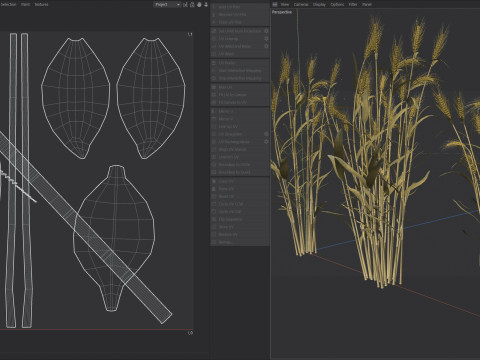 Wheat dried filed section Modelo 3D