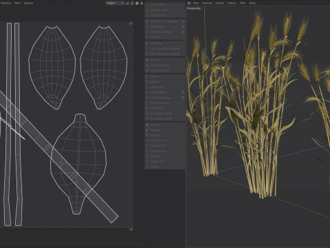 Wheat dried filed section 3D Model
