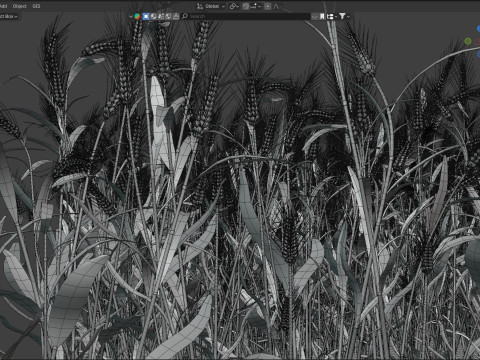 Wheat dried filed section Modelo 3D