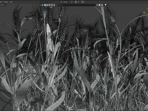 Wheat dried filed section 3D Model