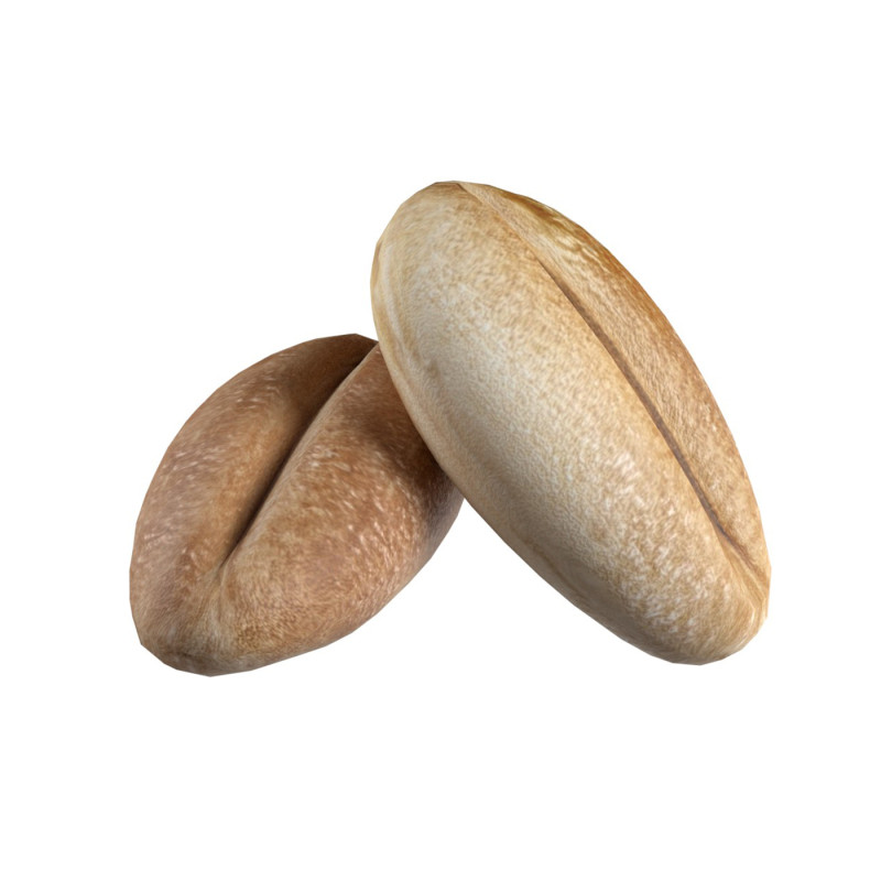 Wheat grain 3D Модель .c4d .max .obj .3ds .fbx .stl .blend