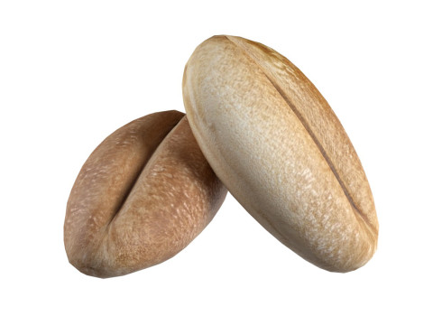 Wheat grain 3D Модель