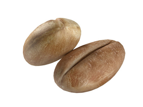 Wheat grain 3D Модель