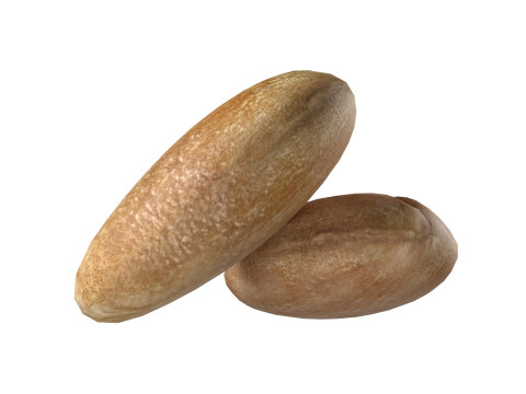 Wheat grain 3D Модель