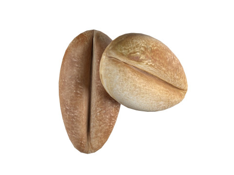 Wheat grain 3D Модель