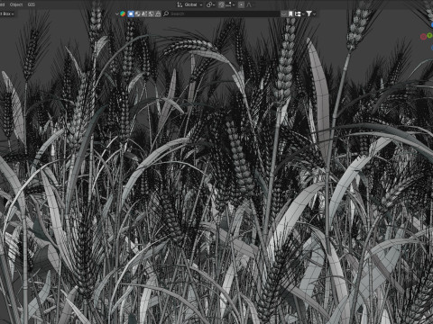 Wheat green field section Modello 3D