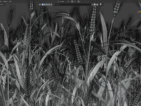 Wheat green field section 3D Model