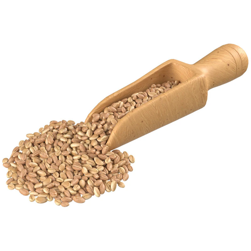 Wheat scoop 3D Model .c4d .max .obj .3ds .fbx .stl .blend 