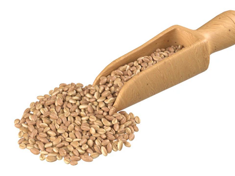 Wheat scoop 3D Model