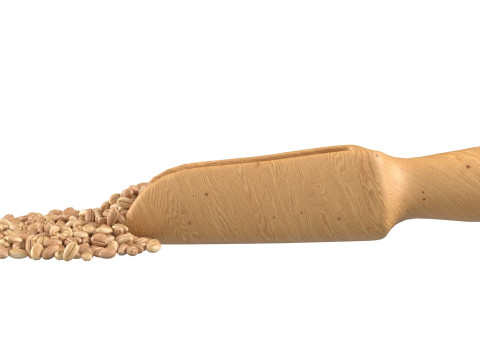 Wheat scoop 3Dモデル
