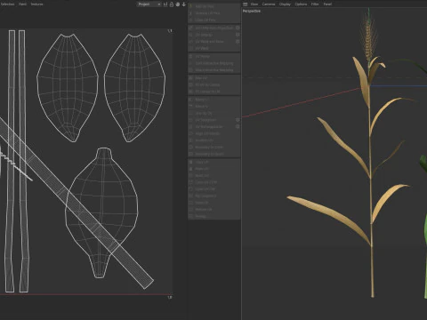 Wheat spike green and dried 3D Model