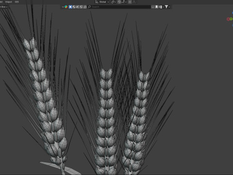 Wheat spikes 3D 모델
