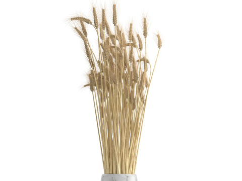 Wheat vase 1 3D मॉडल