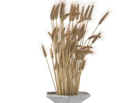 Wheat vase 4 3D Model