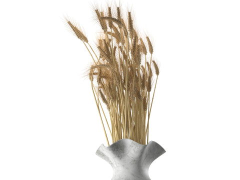 Wheat vase 5 3D 模型