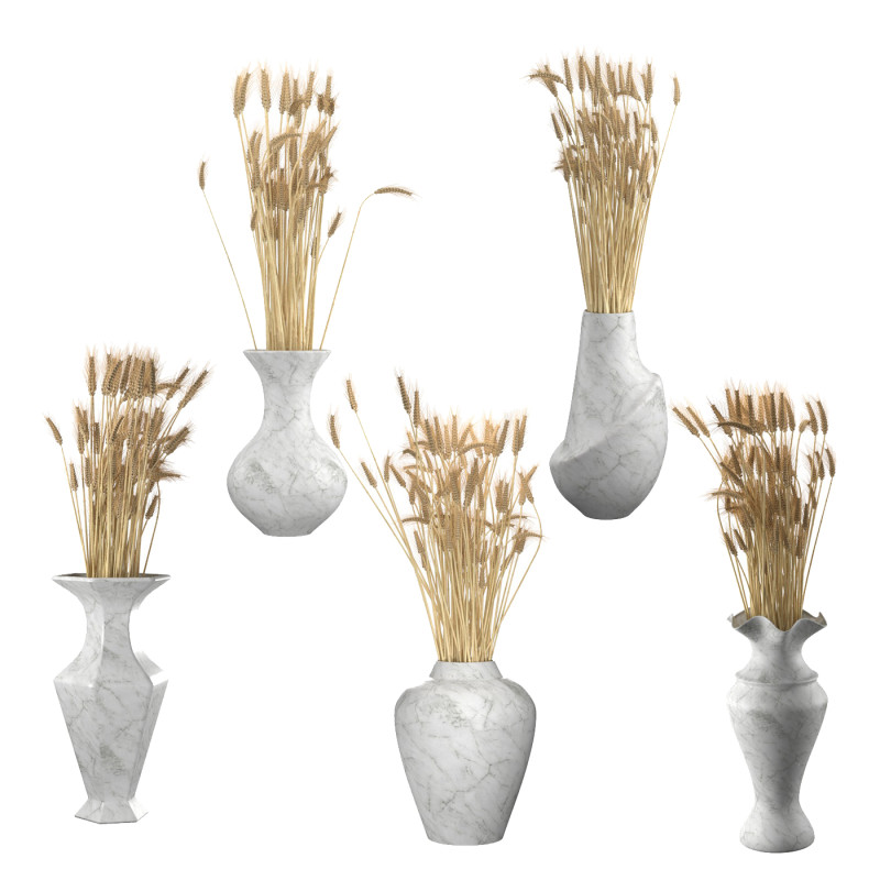 Wheat vase collection 3D 모델 .c4d .max .obj .3ds .fbx .stl .blend