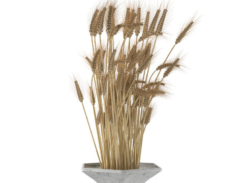 Wheat vase collection 3D 모델