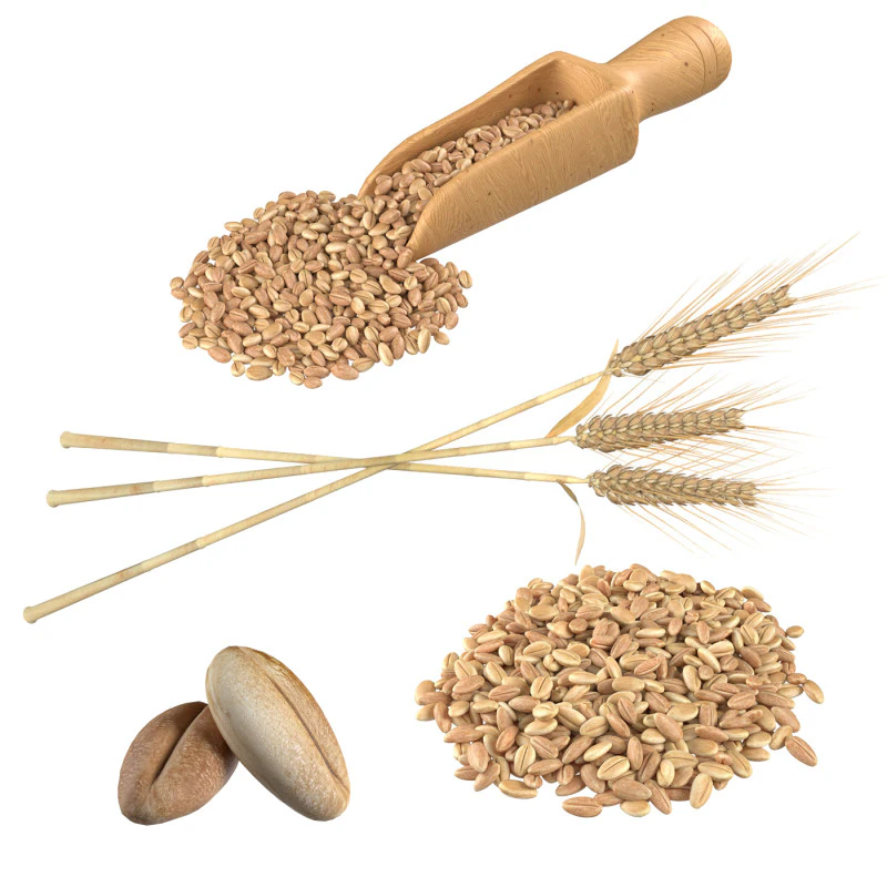 Wheat spike grain scoop and pile 3D Model .c4d .max .obj .3ds .fbx .stl .blend 
