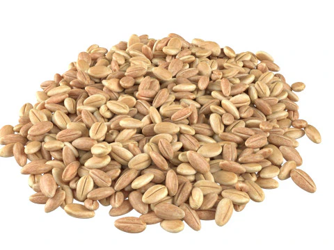Wheat spike grain scoop and pile 3D Model