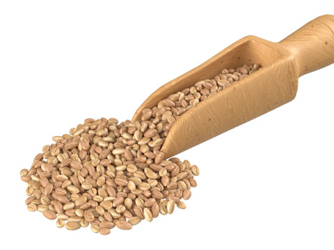 Wheat Mega Collection Model 3D