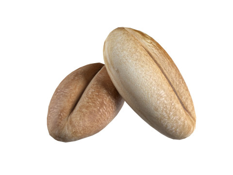 Wheat Mega Collection Model 3D