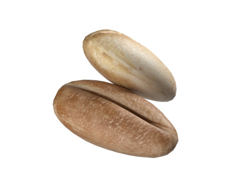 Wheat Mega Collection Model 3D