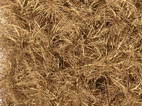 Dried field section 3D 模型
