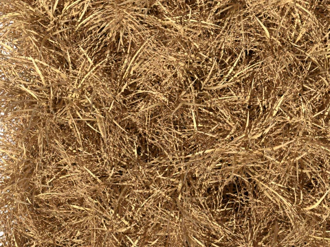 Висохла польова ділянка 3D Модель