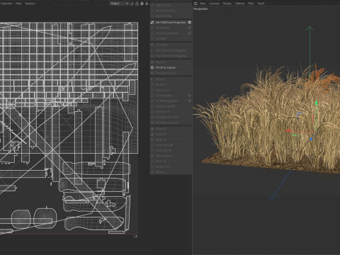Dried field section 3D 模型