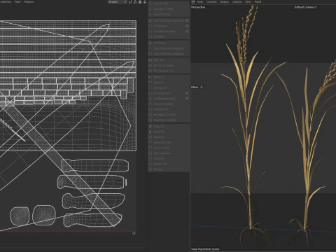 Dried rice stalk 3D Model