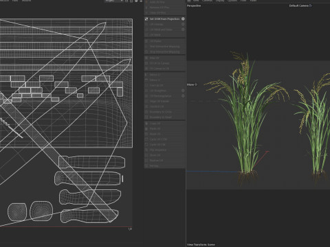 Green rice bushes 3D-Modell