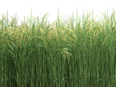 Green field section 3D Model