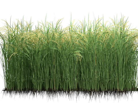 Green field section 3D Model