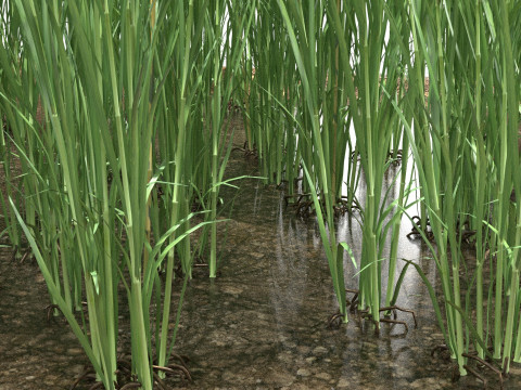 Green field section 3D Model