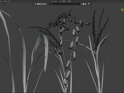 Green rice stalk Modelo 3D