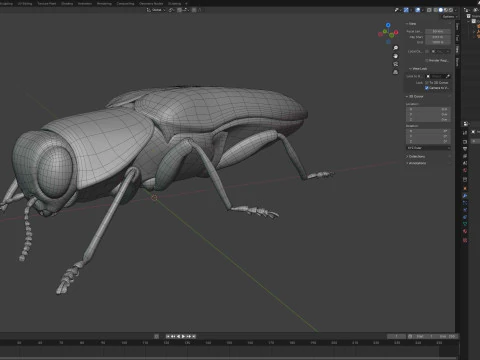 Agrilus Beetle insect 3D Model