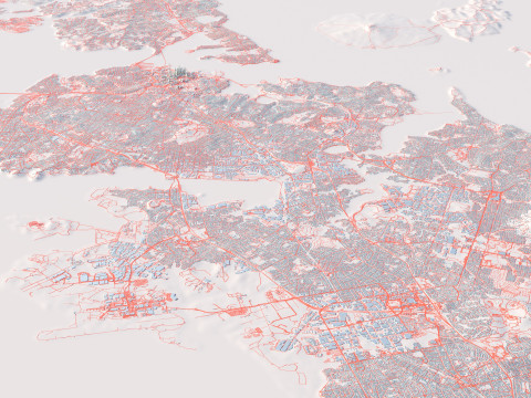 Auckland Terrain city New Zealand 3D 模型
