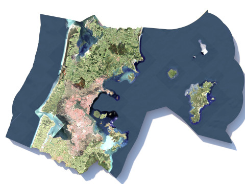Auckland Terrain city New Zealand 3D 模型