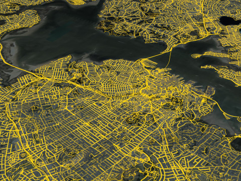 Auckland Terrain city New Zealand 3D 模型