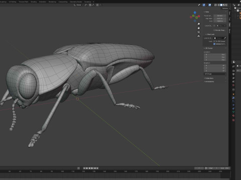 Agrilus cyanescens beetle 3D मॉडल