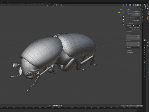 Almond bark beetle Model 3D