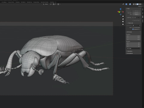 American burying beetle 3D 模型