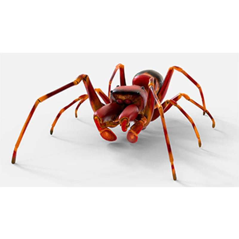 Antmimicking Spider 3D Model .c4d .max .obj .3ds .fbx .stl .blend 