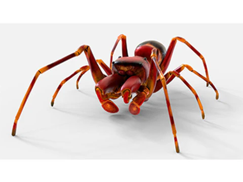 मकड़ी की नकल करती चींटी 3D मॉडल