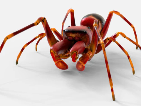 Antmimicking Spider 3D Model