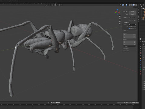 Antmimicking Spider Modello 3D