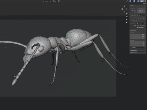 Argentine ant Linepithema humile 3D Model